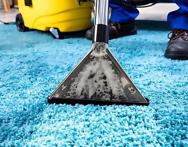 Why Professional Carpet Cleaning Services Are Important for Events