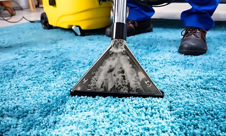 Why Professional Carpet Cleaning Services Are Important…